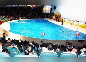 A Paradise For Enjoyment