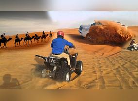 Desert City Safari Activities - The Perfect Arabian Adventure