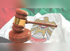 Dubai City Criminal Justice System