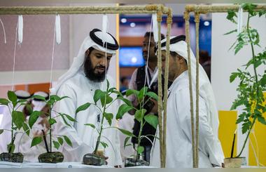 WorldS Most Innovative Agricultural Ideas Step into the Spotlight in Abu Dhabi