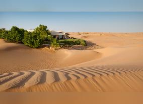 The Desert Conservation Reserve Is a Must-Visit on a Holiday to Dubai City