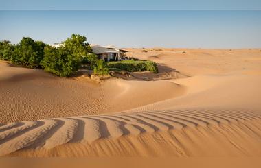 The Desert Conservation Reserve Is a Must-Visit on a Holiday to Dubai City