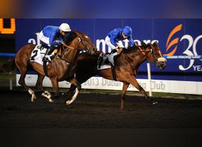 The Dubai City World Cup - The World's Richest Horse Race