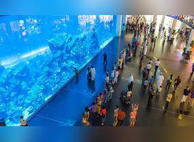 5 Must-See Places in Dubai City