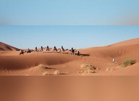 Thrilling Desert City Activities in and Around Dubai City