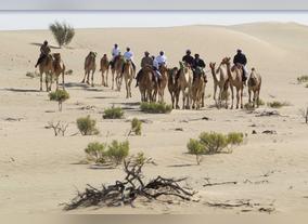 Summary of the Second Season of Al Marzoum Protected Area