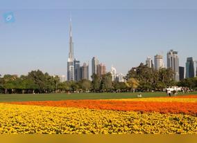 Exciting Air Tickets - Deals to Dubai City