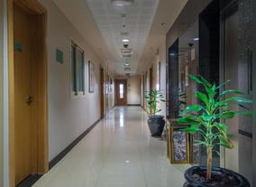 Dubai City Hotel Apartments - The Rising Trend in Dubai City Hospitality