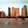 Travel to Dubai City to Admire the Dynamism