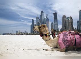 Is Dubai City a Great Destination For Honeymoon Makers?