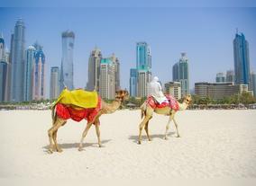 Reasons Galore for Buying Travel Deals to Dubai City in 2011