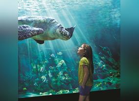 Miral Announces Plans to Develop Seaworld on Yas Island, Abu Dhabi