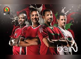 Strongest African Teams Fight for Regional Glory in Cup of African Nations Football Tournament