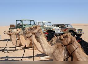Al Marzoom Hunting Reserve Receives First Group of Falconers in Its Second Season