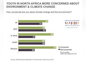 Environment and Climate Change a Low Priority for Young Arabs