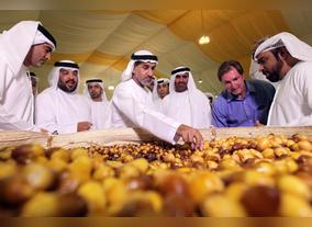 The 12th LIWA Dates Festival Kicks Off with 100 Baskets Of Dabbas, A Local "Hero" Date Variety. The Best Basket Will Get Its Farmer Aed 50,000!