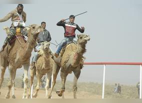UAE To Develop Professional Camel Racing Among The Saharan Bedouins. A Six Kilometres Long Racing Track Already Inaugurated On Sunday