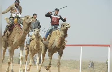 UAE To Develop Professional Camel Racing Among The Saharan Bedouins. A Six Kilometres Long Racing Track Already Inaugurated On Sunday