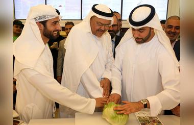 Tossed opens in Abu Dhabi; casual salad concept comes to region