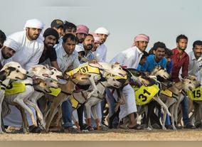 Chard end of the second championship in 2016 for the categories of amateur and professional