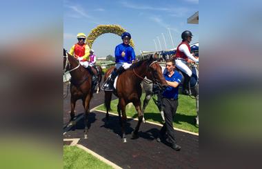  Golden Slipper Is More Than Just a Race
