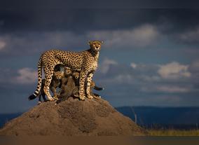 Shortlist Revealed For 2016 Sony World Photography Awards, Worlds Biggest Photography Competition