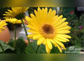 Sony Announces a New Type 1/2.6 22.5 Megapixel Exmor RS, the Industrys First  Stacked CMOS Image Sensor with Built-in Hybrid Autofocus and 3-Axis Electronic Image Stabilization