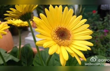 Sony Announces a New Type 1/2.6 22.5 Megapixel Exmor RS, the Industrys First  Stacked CMOS Image Sensor with Built-in Hybrid Autofocus and 3-Axis Electronic Image Stabilization