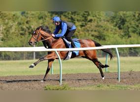 Musaddas Lyrical At Meydan