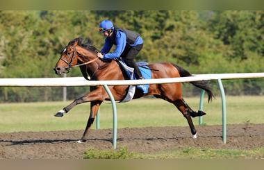 Musaddas Lyrical At Meydan