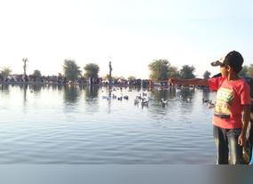 Al Qudra Lake, the new attraction in Dubai