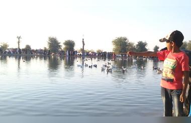 Al Qudra Lake, the new attraction in Dubai