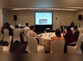 Emirates Green Building Council workshop discusses sustainable challenges in high-rise buildings