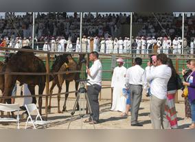 Visitors' Experience Of Arts And Crafts At Al Dhafra Festival