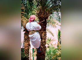 Ministry of Environment and Water announces new phase of Nakheelna Initiative