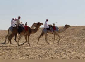 Lovers of Traditional Hunting Secure Right of Entry to Al-Marzoum Area in Al Gharbia-- Abu Dhabi
