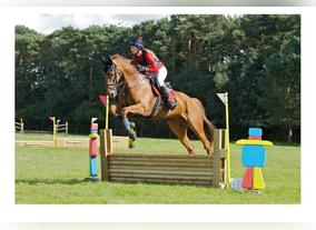 Dubai World Cup winners feature in Retraining of Racehorses Parade