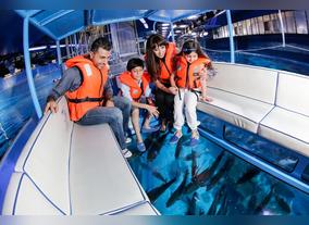 Baby Aquarist at Dubai Aquarium & Underwater Zoo offers unlimited fun for little ones and their caretakers