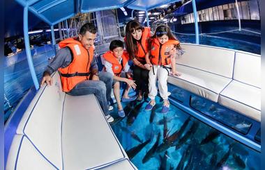 Baby Aquarist at Dubai Aquarium & Underwater Zoo offers unlimited fun for little ones and their caretakers
