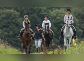 Giddy Up! Horsing Around Never Looked Better, Thanks To Four Seasons