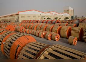 Ducab works with LinkedIn to Connect with Talent