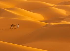 Emirates Falcons Photography Club Aiming To Hit The 