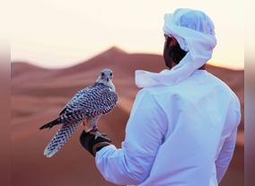 Abudhabi to host unesco state parties falconry expansion workshop