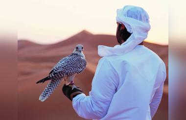 Abudhabi to host unesco state parties falconry expansion workshop