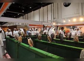 Abu Dhabi International Hunting & Equestrian Exhibition (Abu Dhabi 2015) Next September