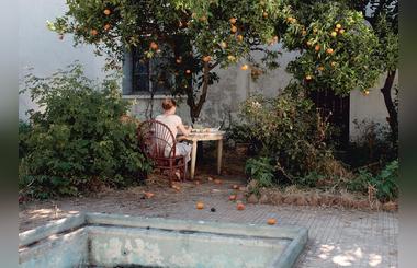 Modern Masters and New Voices in Cinema to be showcased in Doha Film Institutes Qumra Screenings Programme 