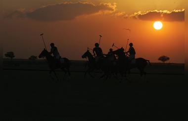 February Listings for Dubai Polo & Equestrian Club