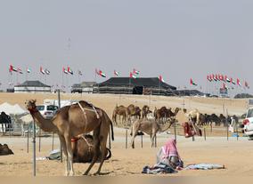 From As Far As Ajman, Hundreds Of School Girls Visit Al Dhafra Festival