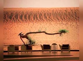 El Beit poetry show continues to discover exceptional poets in the Gulf