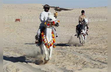 Flying High With Birds Of All Feathers At The 3rd International Falconry Festival